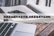 仿真菜品图片大全大图,仿真菜是用什么材料做的