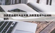 仿真菜品图片大全大图,仿真菜是用什么材料做的