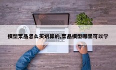 模型菜品怎么买划算的,菜品模型哪里可以学