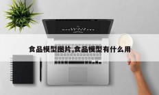 食品模型图片,食品模型有什么用