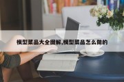 模型菜品大全图解,模型菜品怎么做的