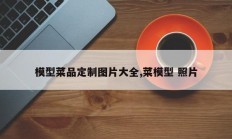 模型菜品定制图片大全,菜模型 照片