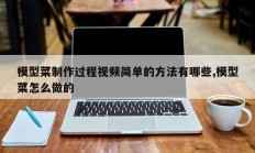 模型菜制作过程视频简单的方法有哪些,模型菜怎么做的