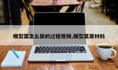 模型菜怎么做的过程视频,模型菜原材料