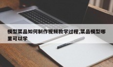 模型菜品如何制作视频教学过程,菜品模型哪里可以学