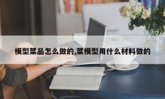 模型菜品怎么做的,菜模型用什么材料做的