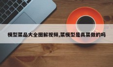 模型菜品大全图解视频,菜模型是真菜做的吗