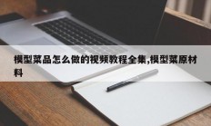 模型菜品怎么做的视频教程全集,模型菜原材料