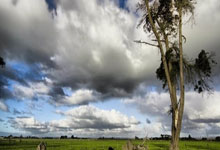 福州食品模型公司排名,福州模型工作室