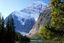 福州食品模型公司排名,福州模型工作室