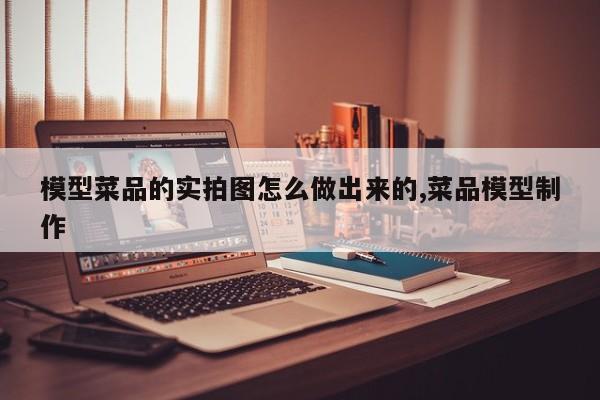 模型菜品的实拍图怎么做出来的,菜品模型制作